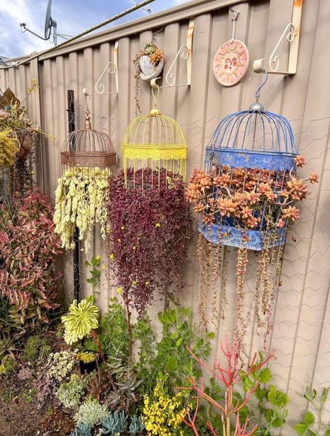 Birdcage Planter, Design A Garden, Small Garden Ideas, Blue Things, Garden Decor Projects, Birdcages, Walled Garden, Home Garden Design, Garden Yard Ideas