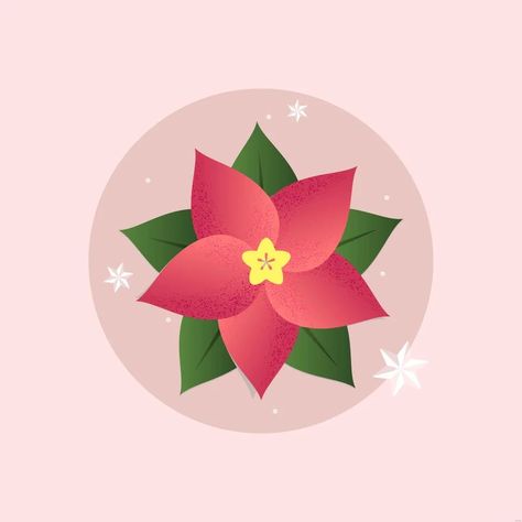 Poinsettia Illustration, Pink Poinsettia, Image Graphic, Poinsettia Flower, Christmas Poinsettia, Pattern Collection, Flower Illustration, Poinsettia, Design Element