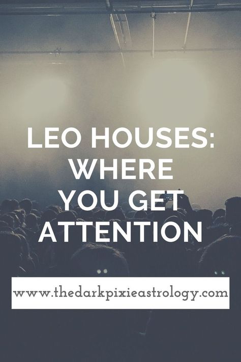 Leo Saturn, Houses In Astrology, A Pattern Language, Sidereal Astrology, Astrology Signs Aries, Dark Pixie, Astrology Houses, Indian Astrology, Black Moon Lilith