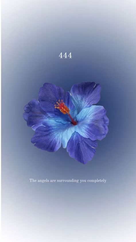 angels numbers Angel Number 444 Aesthetic, 444 Aesthetic, Surrounded By Angels, 444 Meaning, 444 Angel Number, Peaceful Aesthetic, Angel Number 444, Angel 444, Angel Protection