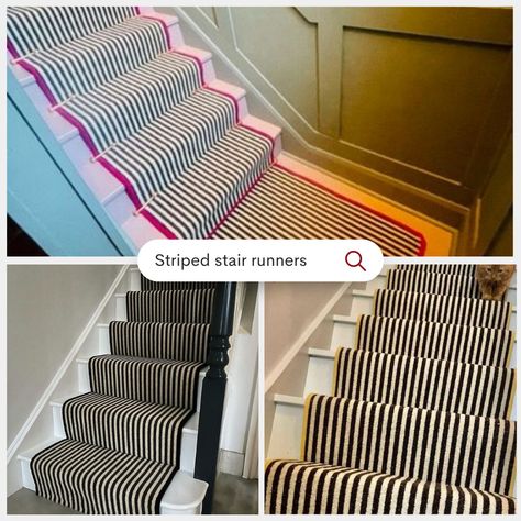 Step into a world of elegance with Stair Runners Direct, your go-to destination for quality stair runners, carpets, and rugs since 2008! 🌟 Our passion lies in helping you achieve that coveted interior magazine, Instagram, Pinterest look with our carefully curated collection of sisal, wool, and faux carpets, paired with an array of stylish edging options. 💫 At our well-established workshop, equipped with top-notch machinery and skilled artisans, we bring your vision to life. Whether it's a sim... Striped Stair Runner, Interior Magazine, Carpets And Rugs, Interiors Magazine, Stair Runners, Stair Runner, A World, Swift, Carpet