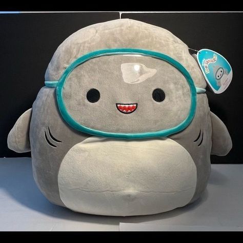 Gordon The Shark Squishmallow, Gordon Squishmallow, Shark Squishmallow, Shark Stuffed Animal, Squish Mallows, Shark Boy, Cute Squishies, Kawaii Plushies, The Shark