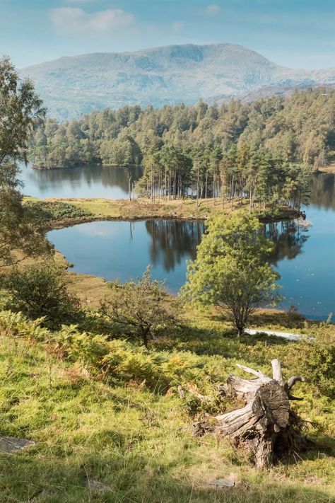 The best walks in the Lake District | CN Traveller Natural Antidepressants, Lake District Walks, English Landscape, Lake District England, Visit Wales, Landscape Inspiration, Waterfall Features, The Lake District, Peak District