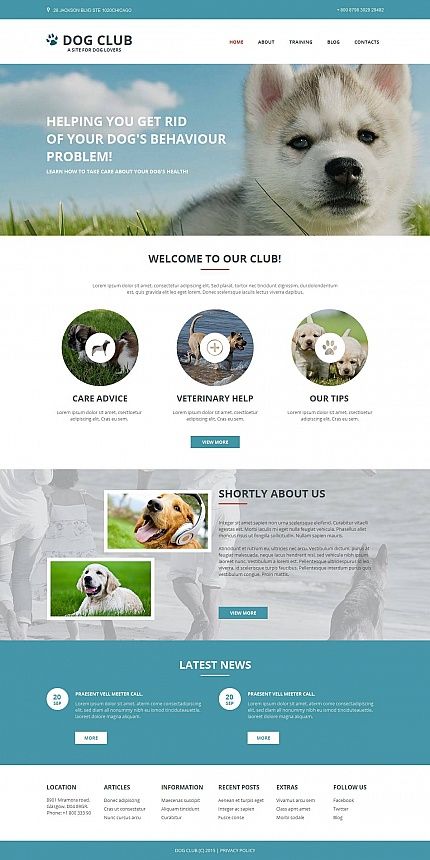 Dog Website Design, Pet Websites, Dog Website, Red Dog Collar, Dog Behavior Problems, Dog Club, Web Design Software, Dog Breeder, Dog Costumes