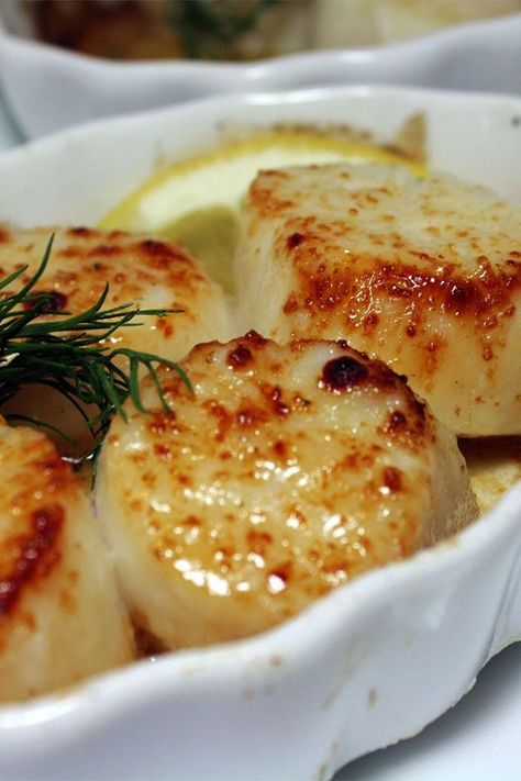 Scallop Recipes Baked, Best Scallops, Broiled Scallops, Easy Scallop Recipes, Seafood Scallops, Bay Scallops, Scallops Recipe, Scallop Dishes, Baked Scallops