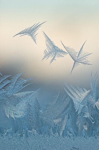 Frost On Window, Frozen Window, Ice Photography, Snowflake Images, Snowflake Photos, Nature Artwork, Winter Love, Soul Searching, Winter Magic