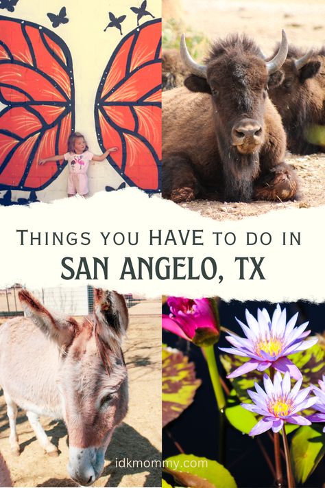 Here is your travel guide of things to do in San Angelo, Texas. This west texas road trip stop is the perfect place to visit in Texas for families! #san angelo things to do in #what to do in san angelo #texas to do San Angelo Texas, Texas Road Trip, Texas Girls, Texas Roadtrip, San Angelo, Lets Get Lost, West Texas, Texas Travel, Lone Star State