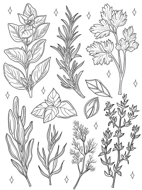 Spices Tattoo, Spices Illustration, Herb Tattoo, Tattoo Art Design, Image Drawing, Flash Tattoo Designs, Tattoo Portfolio, Tattoo Flash Art, Arte Inspo