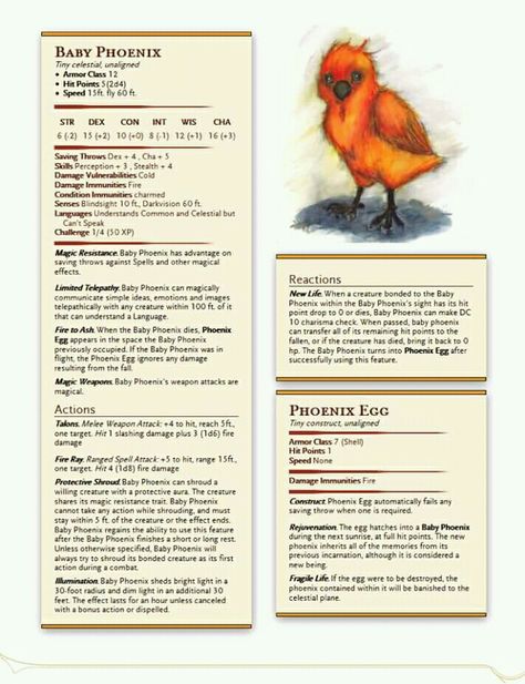 Cute Dnd Familiars, Harry Potter Creatures, Monster Manual, Dnd Stats, Dnd Stories, Dnd Races, Dungeons And Dragons 5e, D D Monsters, Dnd Dragons