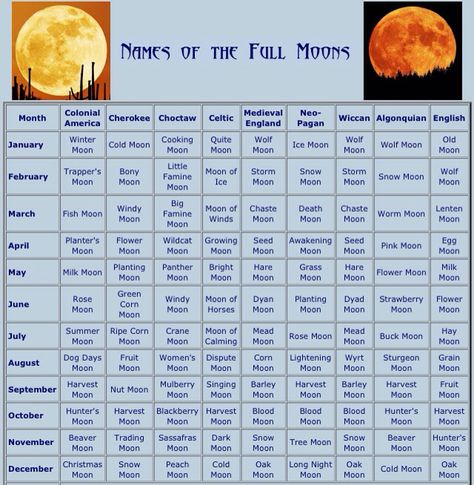 Full Moon Names Funny Snapchat Names, Full Moon Names, Word Web, Funny Nicknames, Space Names, Aesthetic Usernames, Moon Names, Cold Moon, Snapchat Names