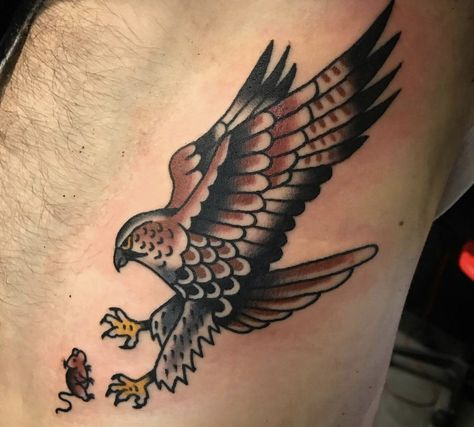 Traditional Osprey Tattoo, Old School Hawk Tattoo, American Traditional Hawk Tattoo, Traditional Falcon Tattoo, Hawk Tattoo Traditional, Peregrine Falcon Tattoo, Red Tailed Hawk Tattoo, Osprey Tattoo, Black Eagle Tattoo