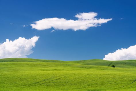 I Photographed Tuscany And It Looks Like The Classic Windows XP Wallpaper 16x9 Wallpaper Aesthetic, 16x9 Wallpaper, 16 9 Backgrounds, Kind Wallpaper, Front Yard Lighting, Windows Xp Wallpaper, Windows Background, Window Wallpaper, My First Vlog