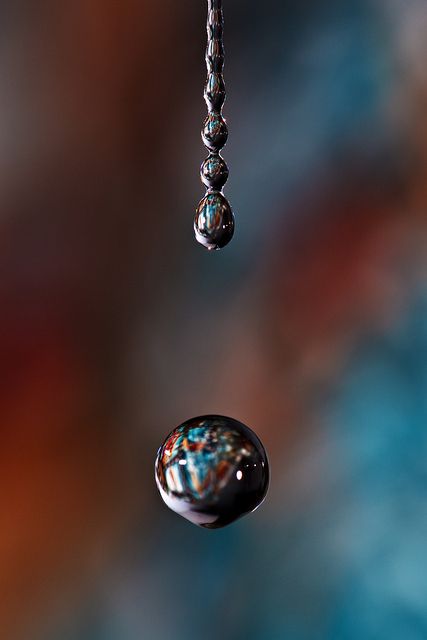 Mercury Element, Droplets Of Water, Lovely Pictures, Dew Drops, Fun Photos, Water Droplets, Cute Creatures, Macro Photography, Landscape Photos