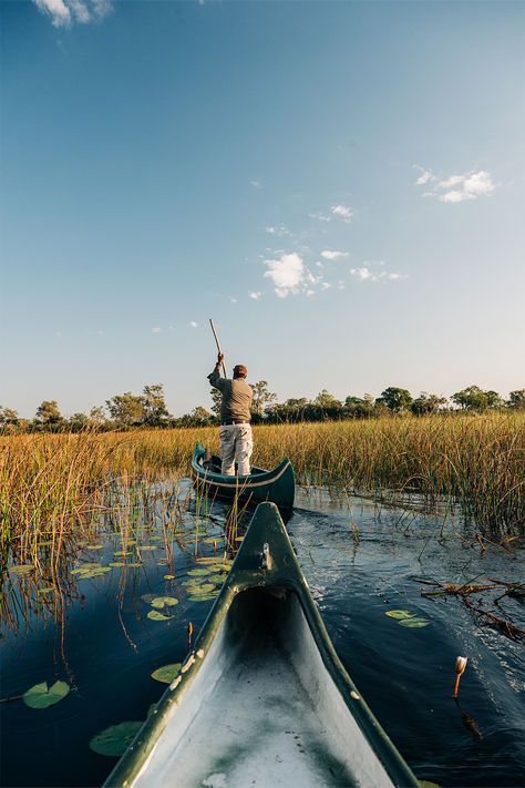 Explore the waterways of Okavango Explorers Camp to see hippos, crocodiles, and plenty of waterbirds. Plus with more than 9,000 elephants living along the river system, there’s also a high chance you’ll glimpse a gentle giant. For more experiences in Botswana, head to the link below. River System, Elephant Camp, The Lives Of Others, Crocodiles, Gentle Giant, Vacation Packages, Botswana, International Travel, The River