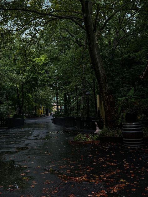 Rainy Countryside Aesthetic, Forest Path Aesthetic, Rainy Trees, Gloomy Aesthetic, Rainy Day Aesthetic, I Love Rain, Adventure Aesthetic, Forest Path, Night Scenery