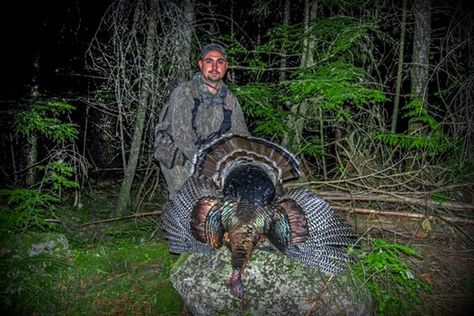 Afternoon turkey hunting tactics and strategy need to be applied in order to bag more turkeys after lunch. Afternoon turkey hunting tactics that work! Turkey Now, Types Of Hunting, Foto Transfer, Best Turkey, Hunting Life, Wild Turkey, Turkey Hunting, Bow Hunting, Western Movies