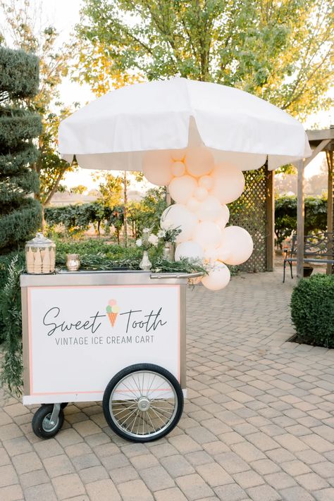 Ice Cream Catering, Ice Cream Wedding, Catering For Weddings, Wedding Food Stations, Ice Cream Business, Dippin Dots, Ice Cream Maker Recipes, Ice Cream Cart, Ice Cream Brands