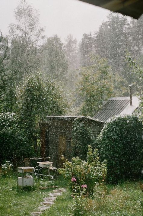 I Love Rain, Magic Garden, Love Rain, Summer Rain, Pretty Places, Dream Garden, In The Rain, Rainy Days, Cottage Garden