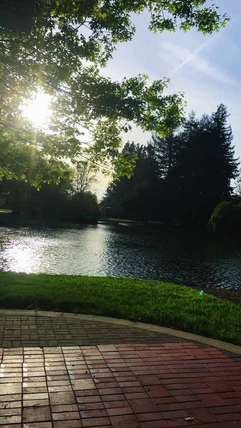 Sonoma State University in all its beauty ... #sonomastateuniversity #ssu Sonoma State University, University Aesthetic, Dream College, Grad Photos, State University, University, Water, Beauty