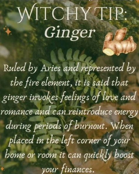 Cottage Witchcraft, Witch Stuff, Fire Element, Feeling Loved, Ginger, Finance, Witch, Spirituality, Romance