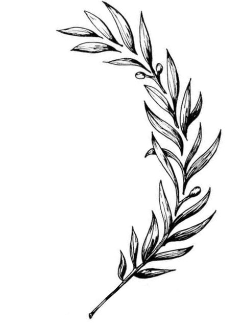 Olive Wreath Tattoo, Greek Leaf Tattoo, Laurel Leaf Tattoo, Greek Leaf Crown, Greek Leaves Tattoo, Word Tattoos With Meaning, Ramo Tattoo, Laurel Tattoo, Laurel Wreath Tattoo