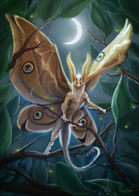 Moth Dragon, Moth Oc, Alien Species, Mythical Creatures Fantasy, Hybrid Art, Humanoid Creatures, Dragon Rpg, Creatures Art, Cute Fantasy Creatures