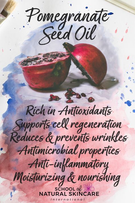 Pomegranate Oil Benefits, Pomegranate Essential Oil, Diy Mineral Makeup, Pomegranate Heart, Pomegranate Benefits, Skincare Formulation, Pomegranate Recipes, Natural Skin Care Ingredients, Skincare 101