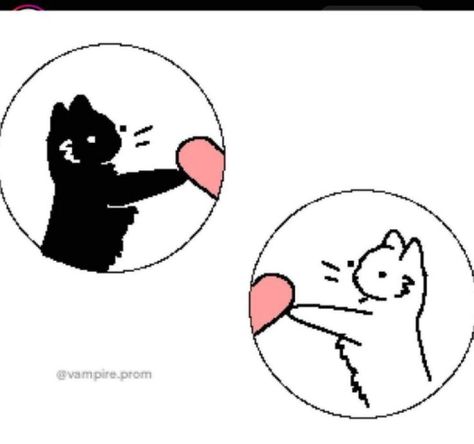 Cute Matching Pfp Couples Cat And Dog, Matching Pfp Mushroom, Gaming Matching Pfp Couple, Matching Pfp Circle, Cat Icon Matching, Matching Pfp Les Couple, Subtle Matching Pfp, Matching Animal Pfp, Couples Profile Pictures