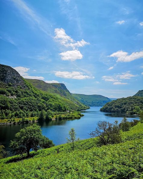 Visit Wales on Instagram: “🍃 The Elan Valley is one of Wales' most picturesque spots! Over 80% of the valley is designated as Sites of Special Scientific Interest,…” Elan Valley, Visit Wales, Mountain Lake, Autumn Landscape, The Valley, Wales, Tourism, Lake, On Twitter