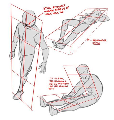 남성 근육, Perspective Drawing Lessons, Comic Tutorial, Human Anatomy Drawing, Anatomy Poses, Perspective Art, Perspective Drawing, Different Angles, Poses References