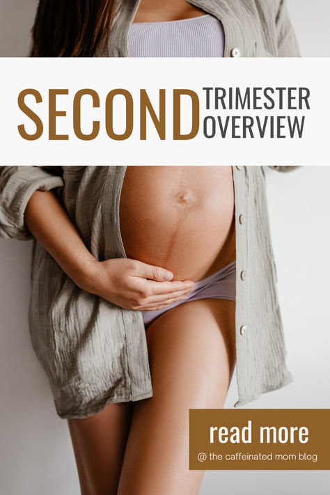 Learn what to expect in your second trimester! #secondtrimester #pregnancy #firsttimemom #momlife #pregnant #pregnancytipsandtricks #newbaby #baby Honeymoon Phase, Parenting Done Right, Second Trimester, Parenting Fail, Parenting Quotes, Mom Blogs, Parenting Hacks, Mom Life, New Baby Products