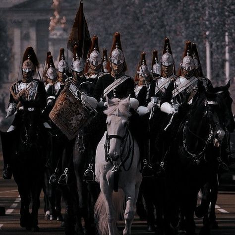 Kings Aesthetic Royal, Royal Guards Aesthetic, Castle Guard Aesthetic, Napoleonic Wars Aesthetic, Guard Aesthetic Royal, Nutcracker And The Four Realms Aesthetic, Royal Guard Aesthetic, Royal Fantasy Aesthetic, Monarchy Aesthetic