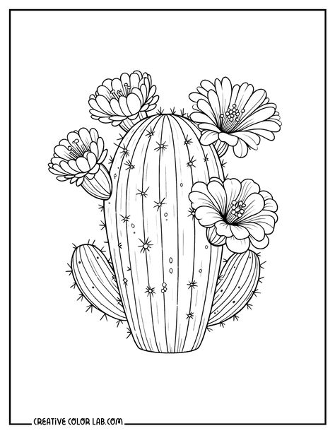 Flower Coloring Pages For Kids, Flower Coloring Sheets, Sunflower Coloring Pages, Printable Flower Coloring Pages, Cactus Drawing, Flowers Coloring, Spring Coloring Pages, Cactus Painting, Spring Craft