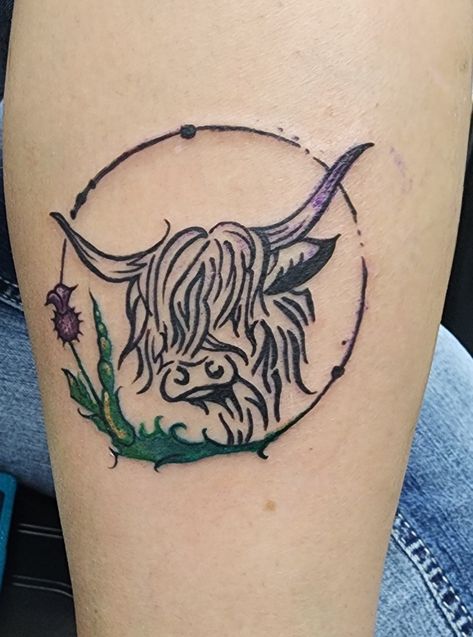 Cattle Tattoos For Women, Small Highland Cow Tattoo, Highland Cow Tattoo Ideas, Highland Cow Tattoos For Women, Scottish Highland Cow Tattoo, Highlander Cow Tattoo, Highland Cow Tattoo Simple, Cow Tattoos For Women, Highland Tattoo