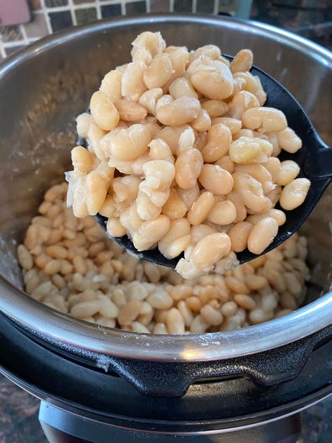 Instant Pot Great Northern Beans – Melanie Cooks Instant Pot Great Northern Beans, Southern Pinto Beans Recipe, Make Refried Beans, Instant Pot Freezer, Beans With Bacon, Refried Beans Recipe, How To Make Lasagna, Cooking Dried Beans, Good Carbs