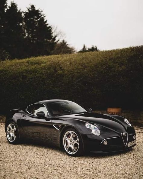 Alfa 8c, Alfa Gtv, Alfa Romeo Logo, Alfa Romeo 8c, Alfa Alfa, Alfa Romeo 159, Alfa Romeo Spider, New Sports Cars, Alfa Romeo Cars