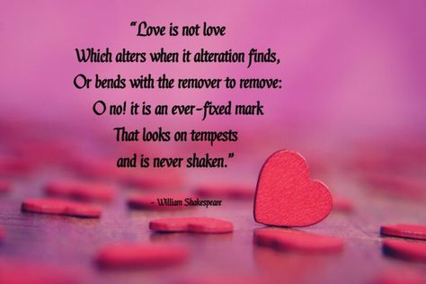 Quotes By Shakespeare, Albanian Quote, Shakespeare In Love, Shakespeare Quotes, Love Is Not, Not Love, William Shakespeare, Morning Quotes, Positive Vibes