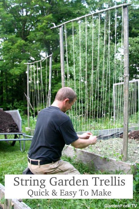 Green Bean Trellis, Bean Trellis, Vegetable Trellis, Building A Trellis, String Garden, Cucumber Trellis, Diy Garden Trellis, Climbing Flowers, Diy Trellis