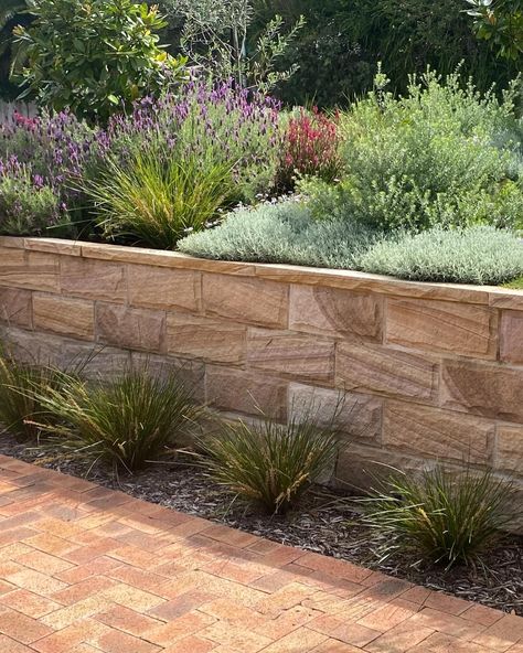 A wall fit for spring ! 

Our Quarry Run Non-Selective, Rockface Cladding was the perfect choice for this garden.

A #repost from the team over @leuca_landscapes 

Gosford Quarries. No. Equivalent. 

( #📷 @leuca_landscapes )

.
.
. Sandstone Retaining Wall Landscaping, Sandstone Retaining Wall, Retaining Wall Landscaping, Sandstone Cladding, Garden Retaining Wall, Landscaping Retaining Walls, Spring Sunshine, House Landscaping, Retaining Walls