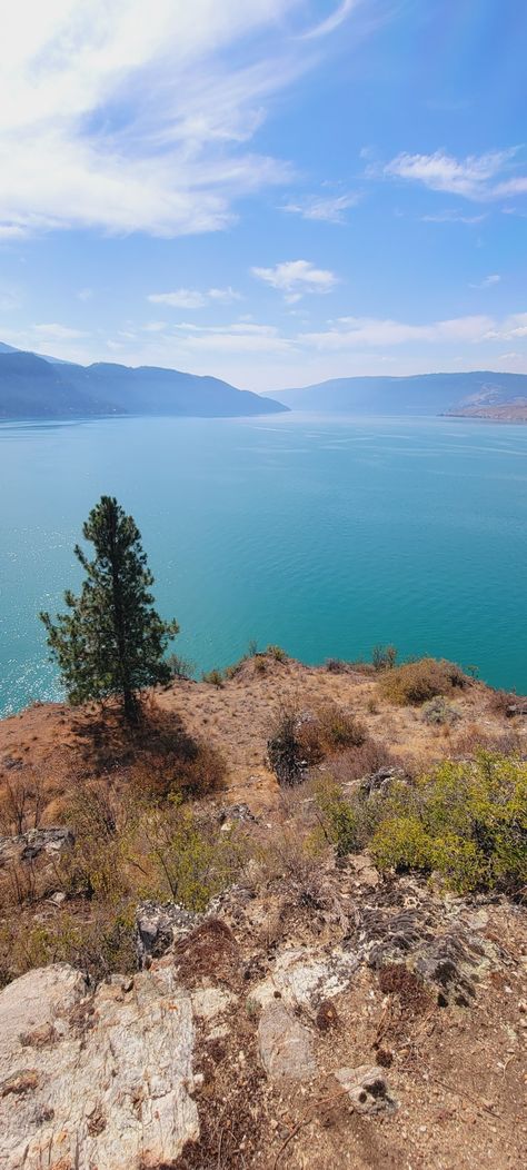 Cliffjump Lake mountains sunshine hike Kalamalka Lake, Vernon Bc, Okanagan Valley, Summer Trip, Summer Travel, Colouring Pages, British Columbia, Columbia, Lake