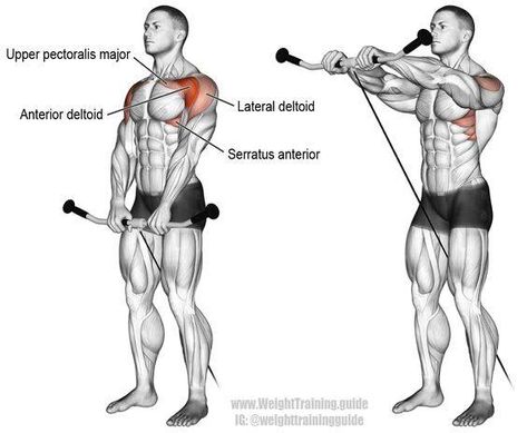 Serratus Anterior, Best Shoulder Workout, Cable Workout, Gym Antrenmanları, Weight Training Workouts, Chest Workouts, Chest Workout, Body Fitness, Gym Workout Tips