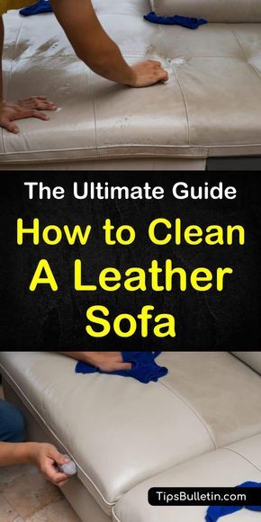 Leather Furniture Cleaner, Leather Bag Cleaning, Bed Cleaning, Cleaning Leather Couch, Environmental Cleaning, Daily Cleaning Routine, Cleaning Leather, Homemade Toilet Cleaner, Clean Hacks