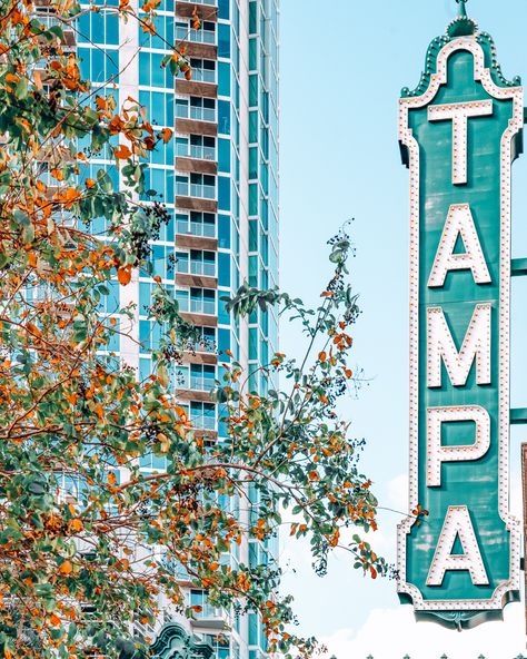 51 Most Instagrammable Places in Tampa: Best Photo Spots in Tampa Tampa Bay Aesthetic, Cute Florida Pictures, Tampa Photography Locations, Tampa Florida Things To Do In, Tampa Florida Aesthetic, Tampa Aesthetic, Florida Quotes, Florida Photos, Tampa Riverwalk