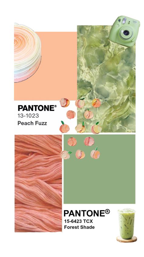 Mint Green Complimentary Colors, Pistachio Color Palette, Pantone Verde, Peach Color Schemes, Bedroom Board, Closet Basics, Branding Inspo, Peach And Green, Peach Fuzz