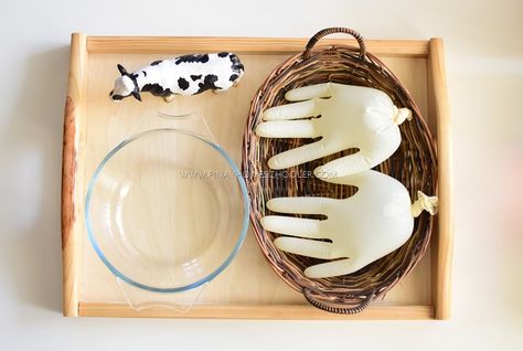 Farm Activities For Preschoolers, Farm Montessori, Flower Activities For Kids, Farm Animals Activities, Farm Theme Preschool, Farm Animal Toys, Milk The Cow, Farm Unit, Farm Preschool