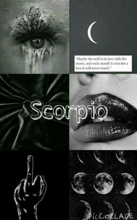 ~ Zodiac Scorpio Vibes Aesthetic, Wallpaper Sassy, Nocturnal Witch, Scorpio Pictures, Zodiac Mind Scorpio, Zodiac Quotes Scorpio, Black Moon Lilith, Scorpio Art, Scorpio Women