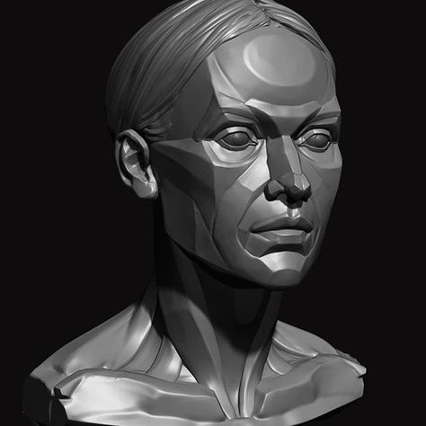 Maria Panfilova в Instagram: «I made planar face as an exercise a while ago. Now trying to rework and finish it #zbrush #anatomy #head #sculpture» Anatomy Head, Zbrush Anatomy, Planes Of The Face, Face Proportions, Head Anatomy, Face Outline, Face Line Drawing, Female Face Drawing, Face Anatomy