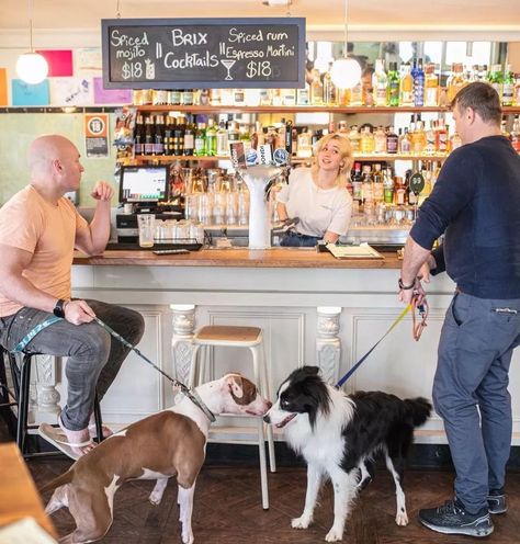 The Best Dog-friendly Restaurants and Pubs in Sydney The Grounds Of Alexandria, Victorian Buildings, Vet Med, Spiced Rum, Roasts, Dog Friendly, Four Legged, Dog Friends, Dream Life