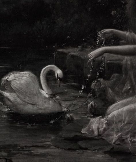 The Black Swan Movie, Black Swan Movie, Swan Painting, Dark Swan, The Black Swan, Swans Art, Lake Painting, Chique Outfits, Dark Romantic