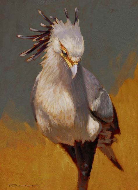 Bird Looking Down, Secretary Birds, Cute Bird Illustration, Bird Human, Bird Aesthetic, Bird Person, Bird Character, Bird Study, Secretary Bird